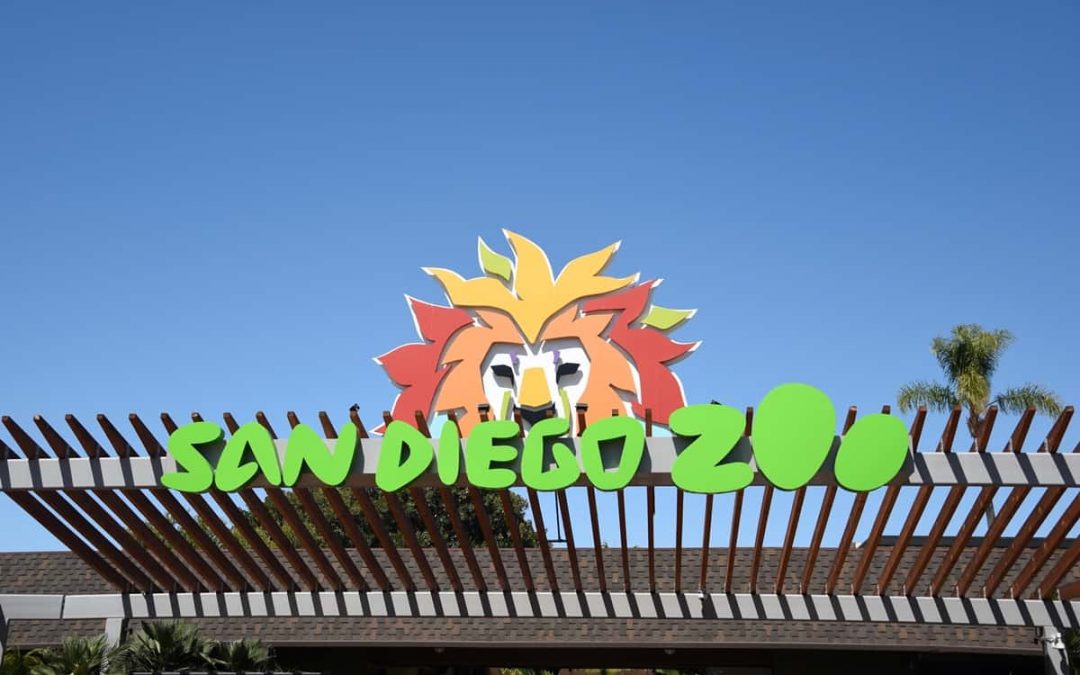 21. Päev – San Diego Loomaaed