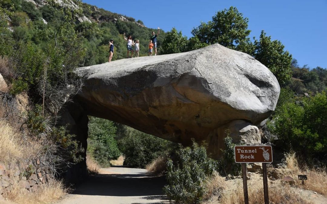 16. Päev – Sequoia Rahvuspargis